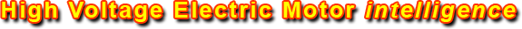 High Voltage Electric Motor intelligence